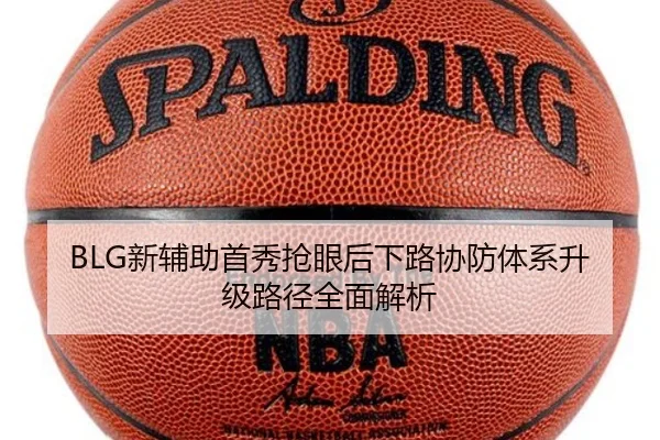 BLG新辅助首秀抢眼后下路协防体系升级路径全面解析